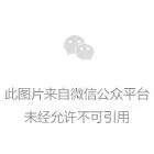 星空网页版入口最新版下载