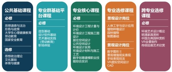 团队主持星空网页版入口平台介绍部高职