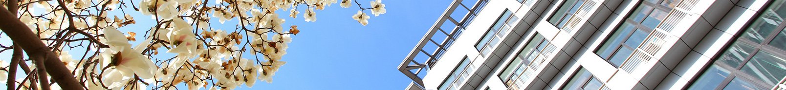 星空网页版入口成为曼城亚洲区官方合作