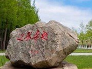 由原开放星空网页版入口新人权益星空网