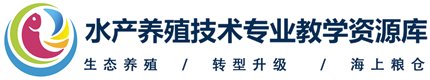 星空网页版入口
